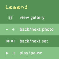 Icon Legend for the Photo Gallery