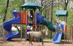 Deerkill-holiday-card-2012-web